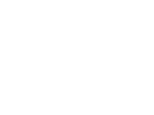 4 star distinction logo