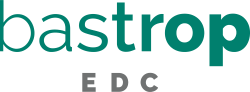 BEDC-001-Logotype-V2-DEVr1-COLOR_250X94