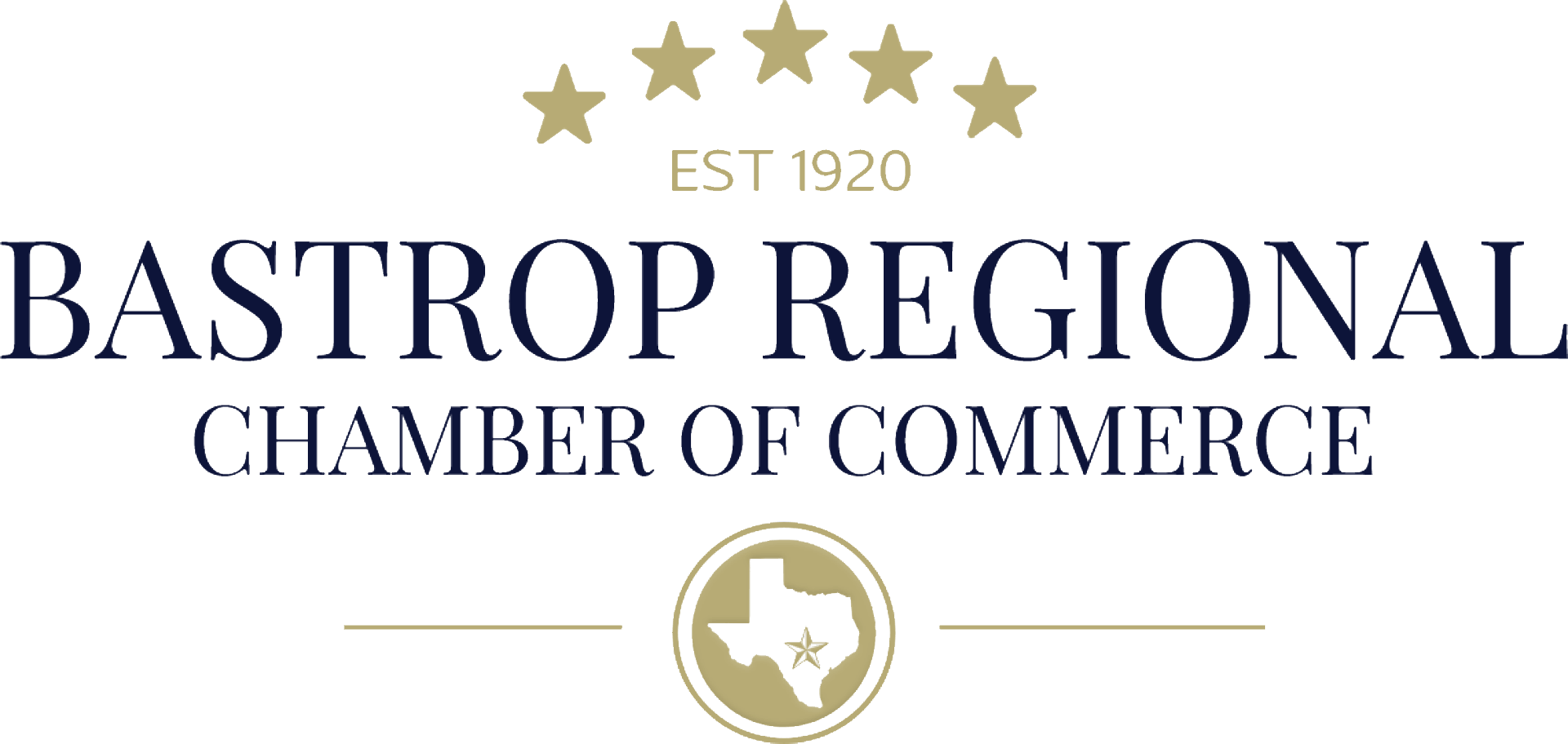 PRIMARY BLUE LOGO