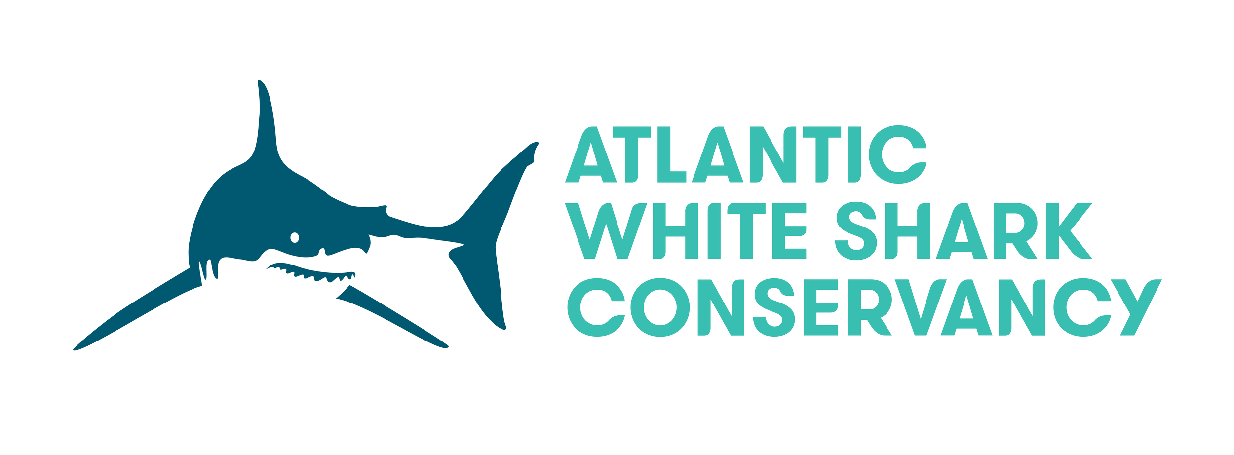 atlantic-white-shark-conservancy-logo atlantic-white-shark-conservancy-logo