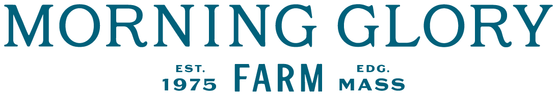MGF-logo MGF-logo