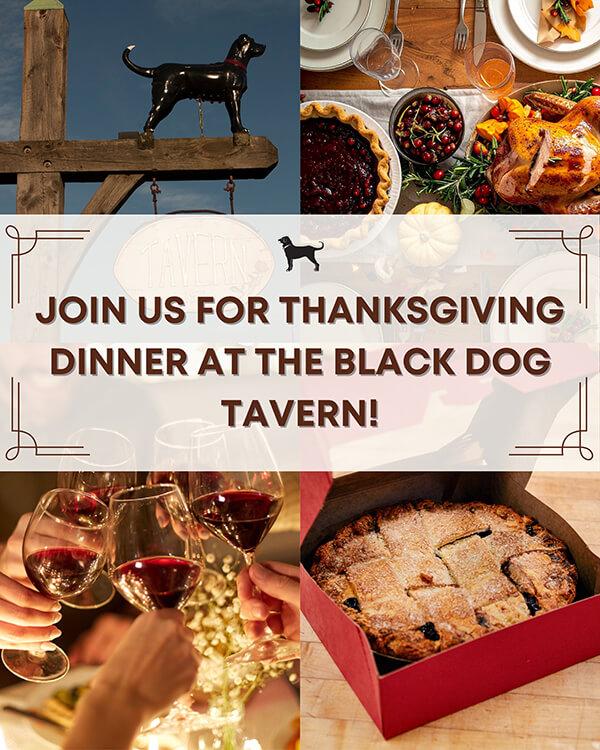 MVY Splash Page Thanksgiving Graphics - Thanksgiving - Tavern