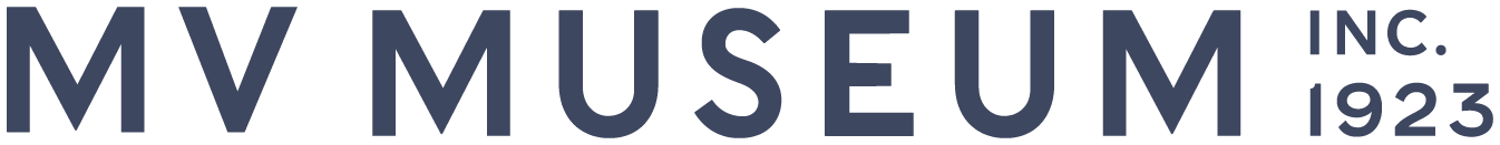 mvmlogo