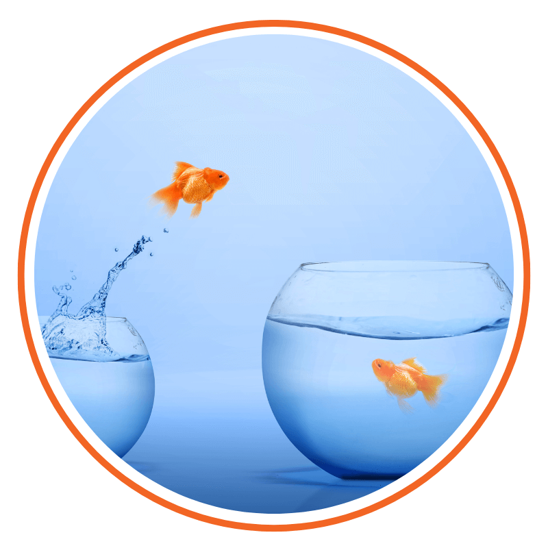 Elgin Development Group Elgin Development Group