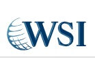 WSI Logo