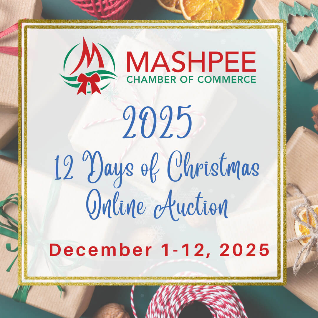 2025 12 Days of Christmas Auction