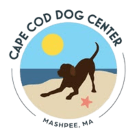 Cape Cod Dog Center