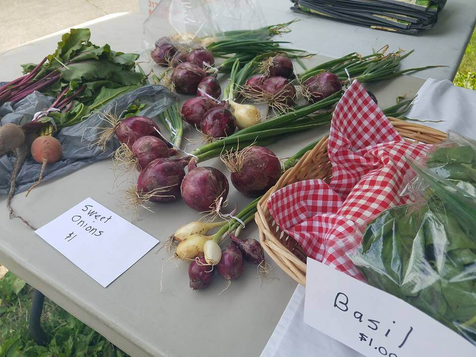 home grown onions at farmers market