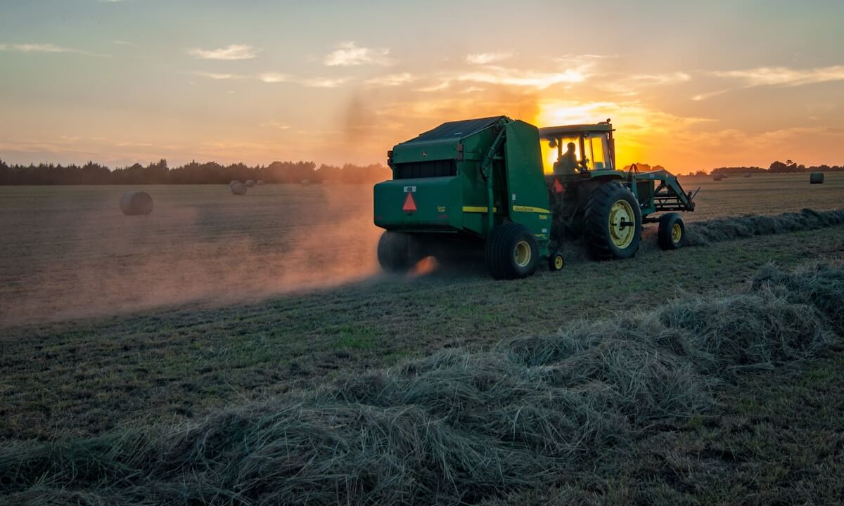 photo-1527847263472-aa5338d178b8