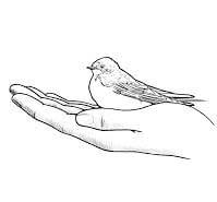 Bird in Hand