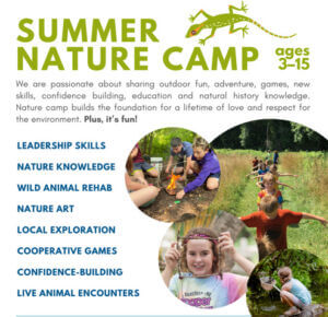 Screenshot 2026-01-31 093531