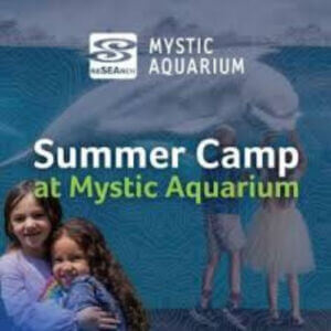 Untitled design (33)