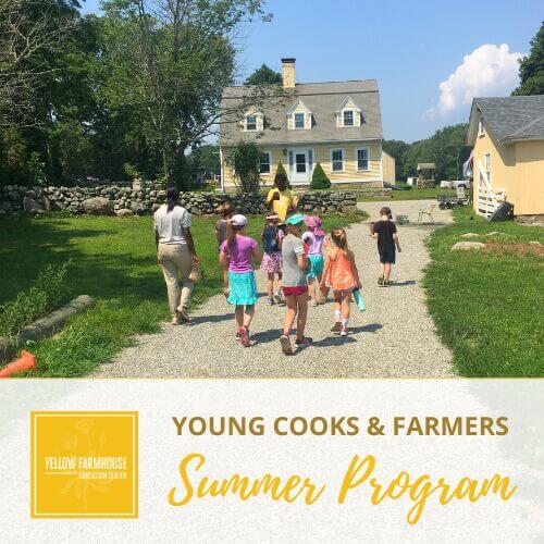 Untitled design (62)