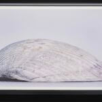 GrantModern_photography1