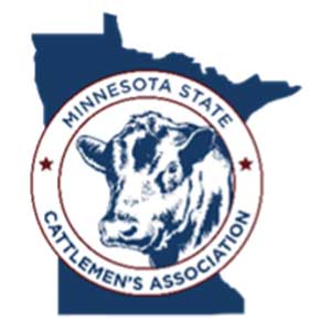 mn-state mn-state