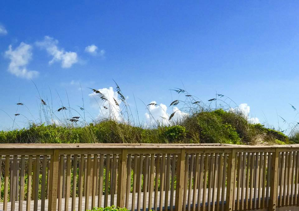boardwalk to beach with grass covered dunes and sky