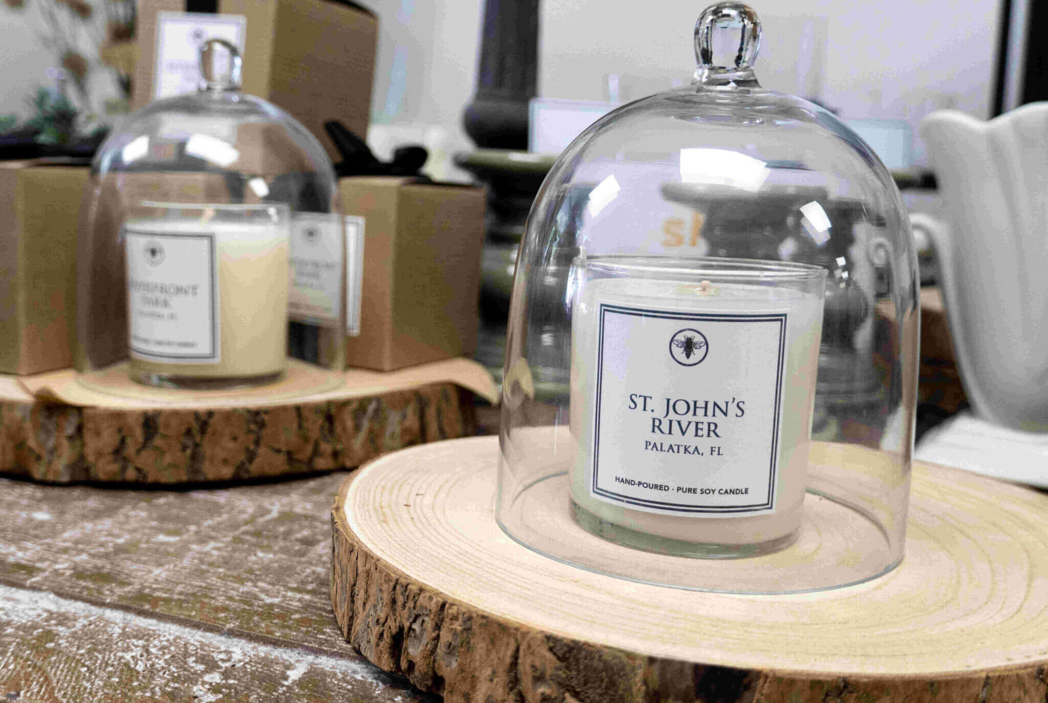 St Johns River Candle_Lady Bugs_Palatka_Putnam County_Brandy Jo Hastings_Compressed