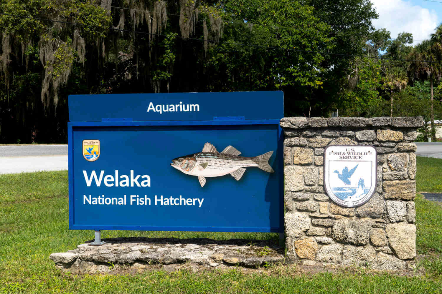 Welaka National Fish Hatchery_Sign_Putnam County_Brandy Jo Hastings_Compressed Welaka National Fish Hatchery_Sign_Putnam County_Brandy Jo Hastings_Compressed