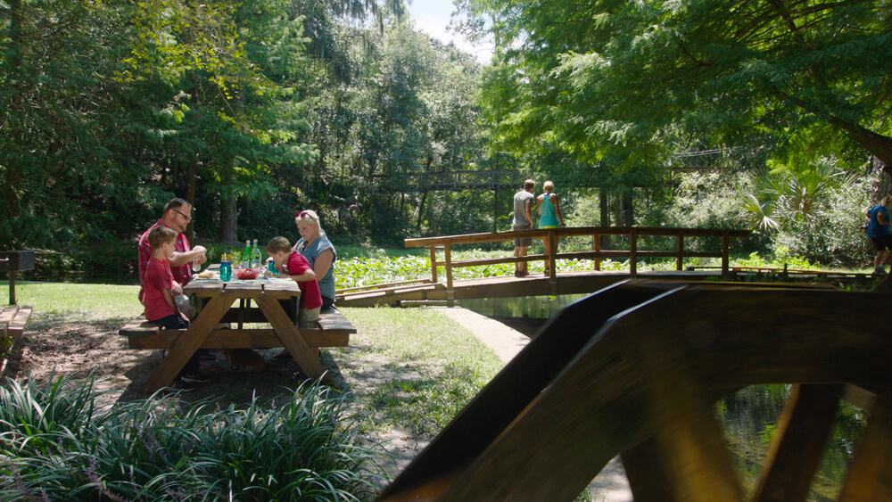 Picnic Ravine Gardens in Palatka, FL