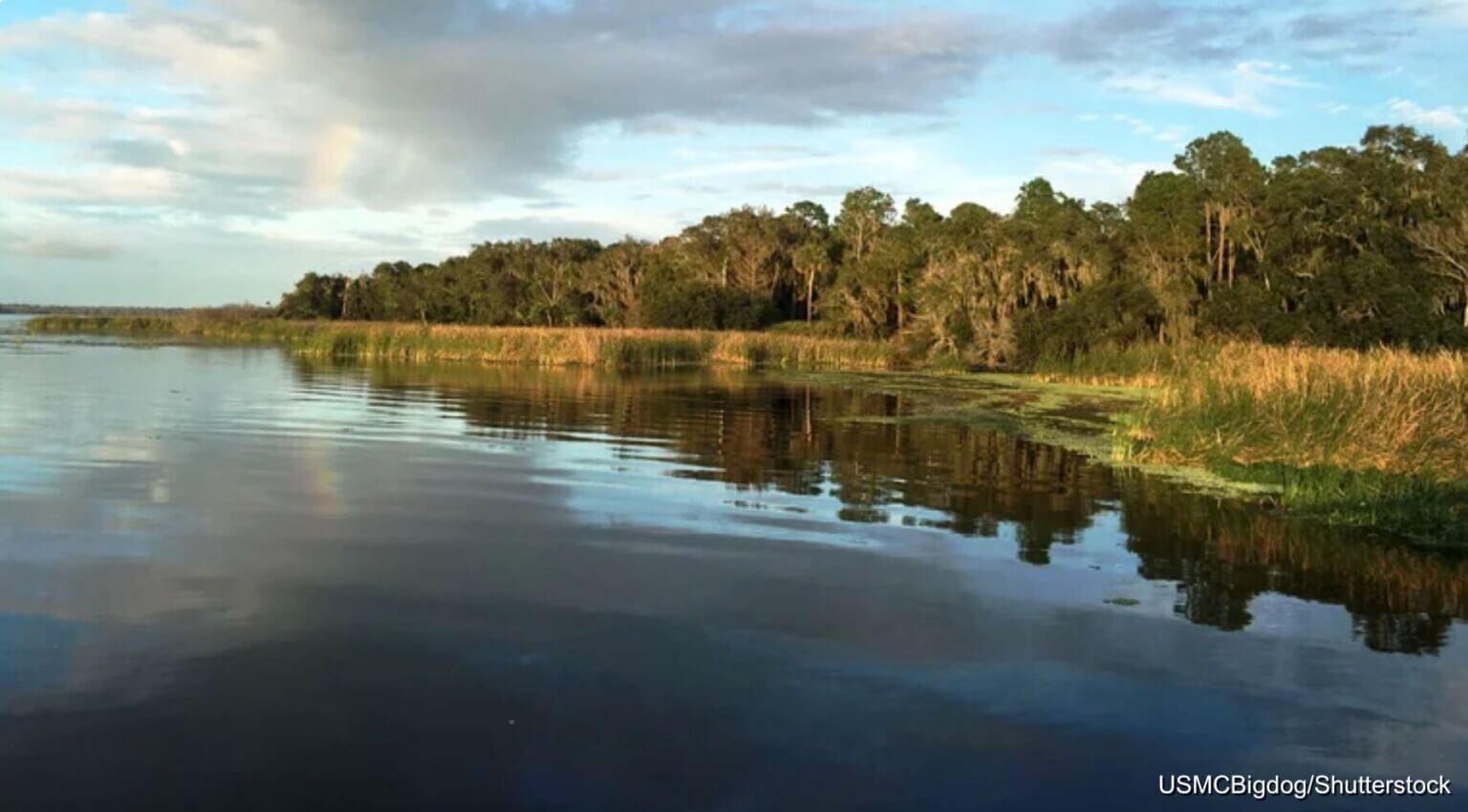 Overlooking Lake George in Putnam County, FL
