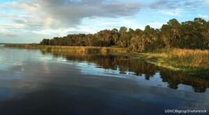 Overlooking Lake George in Putnam County, FL
