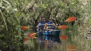 Visit Florida Targeted Marketing Assistance_Kayaking