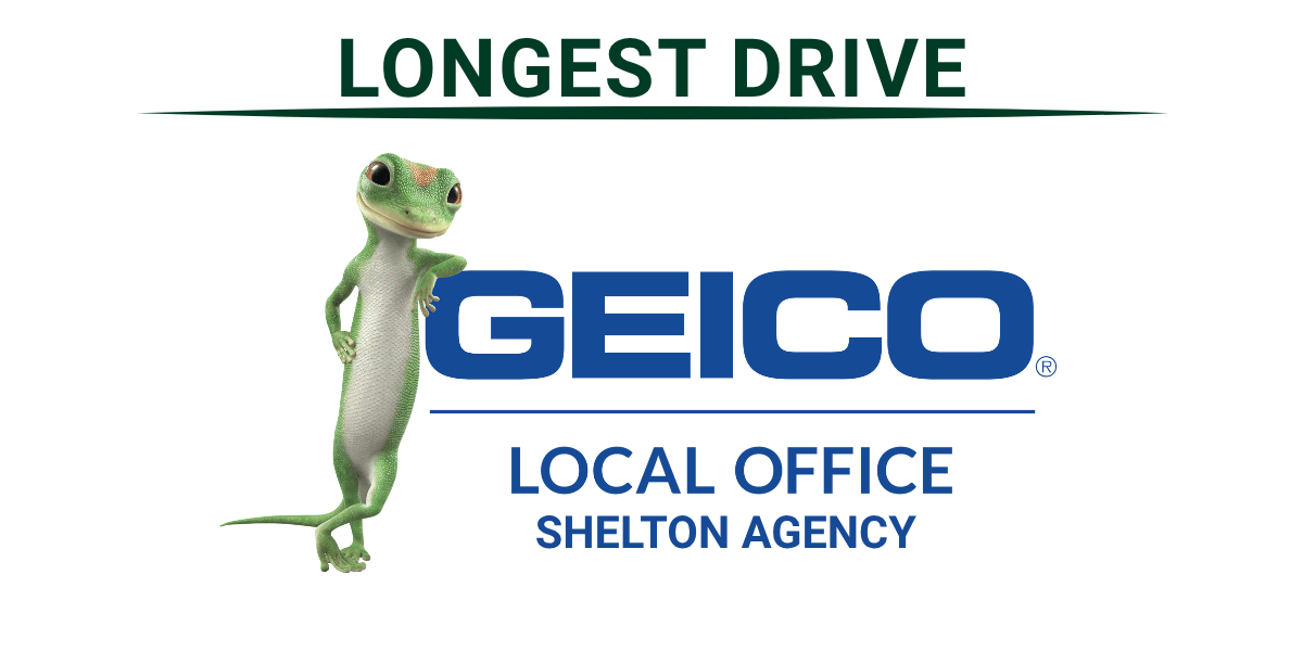 Golf Sponsors (4 x 2 in) (5)