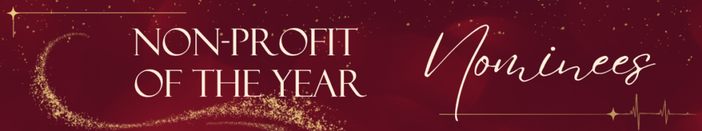 Non Profit Biz Banner Non Profit Biz Banner