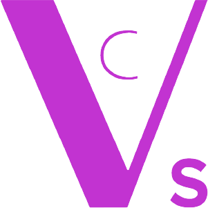 V Consulting Services
