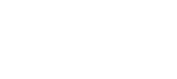 NAESCO logo