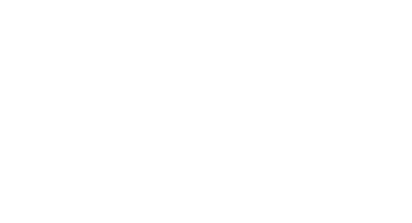 NAESCO logo
