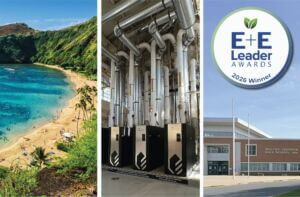 Untitled design (42)