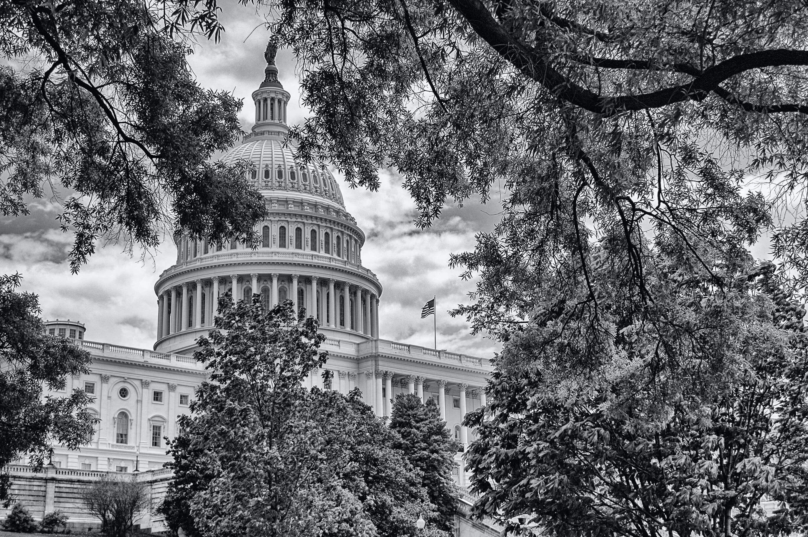 DC pexels-david-renken-4134804 DC pexels-david-renken-4134804