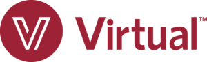 Visionary Partner