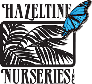 Hazeltine Nurseries Logo