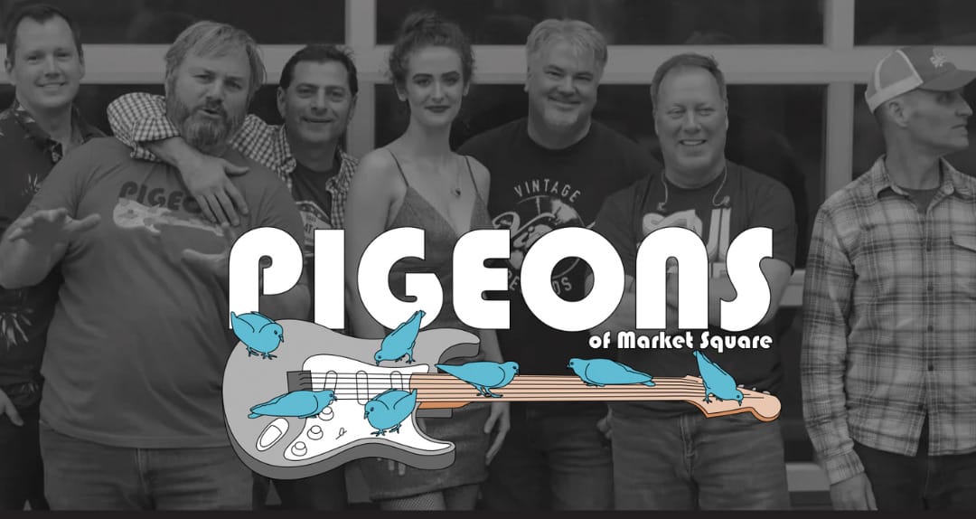 Pigeons Pigeons