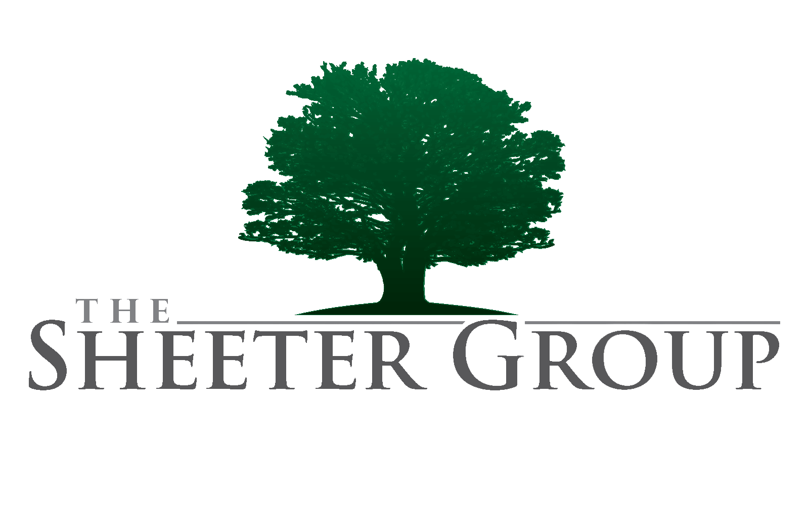 The Sheeter Group Transparent