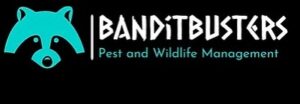 Bandit Busters Pest and Wildlife Management