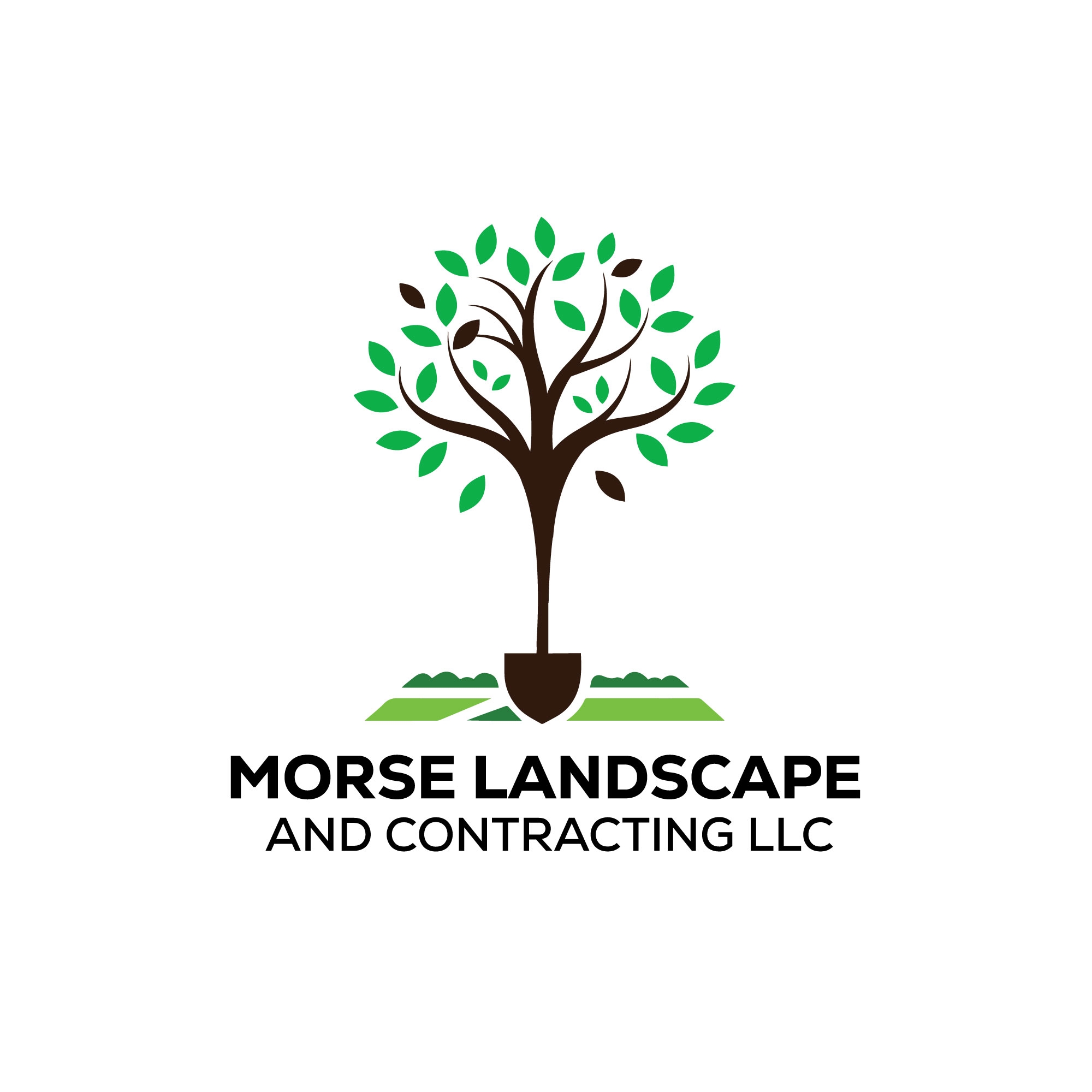 Morse Landscape