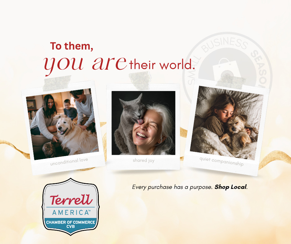 BLOG - SBS Announcement - SBS 2025 (5)