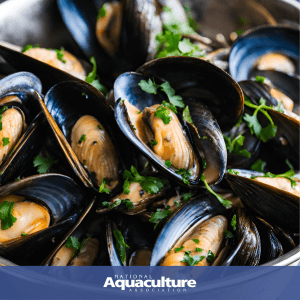 U.S. Farm-Raised Mussels a L’Escargot