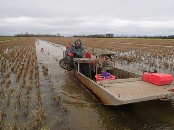 crawfish boat