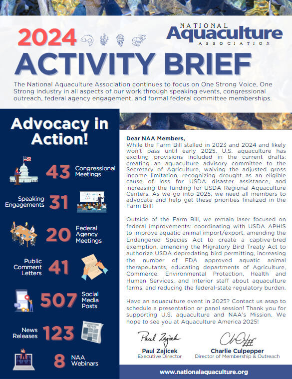 activity brief 2024