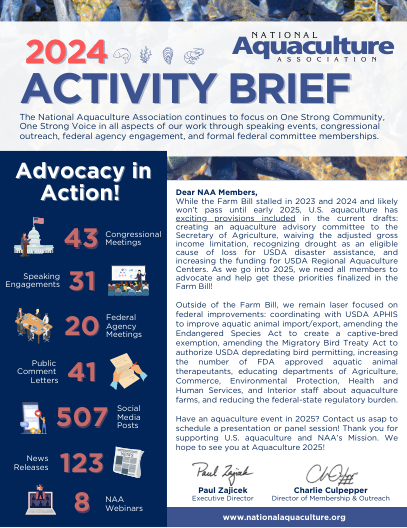 activity brief