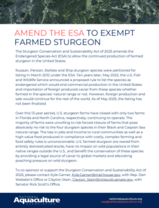 amend the esa