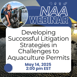 webinar