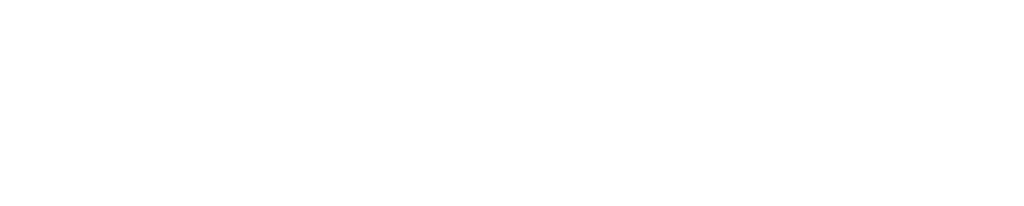 Ameris_RGB_HorizontalBrandmark_WHITE