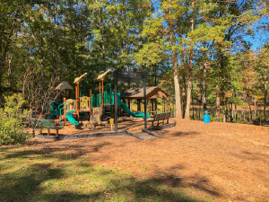 Dauset Trails Playground