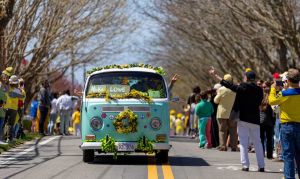 Daffodil bus