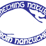 Something-Natural-Logo